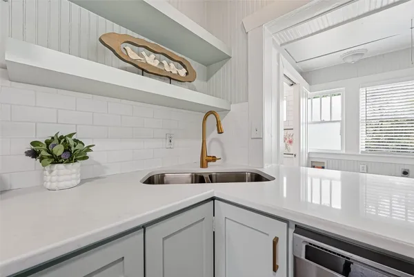 a kitchen with a sink a potted plant and cabinets