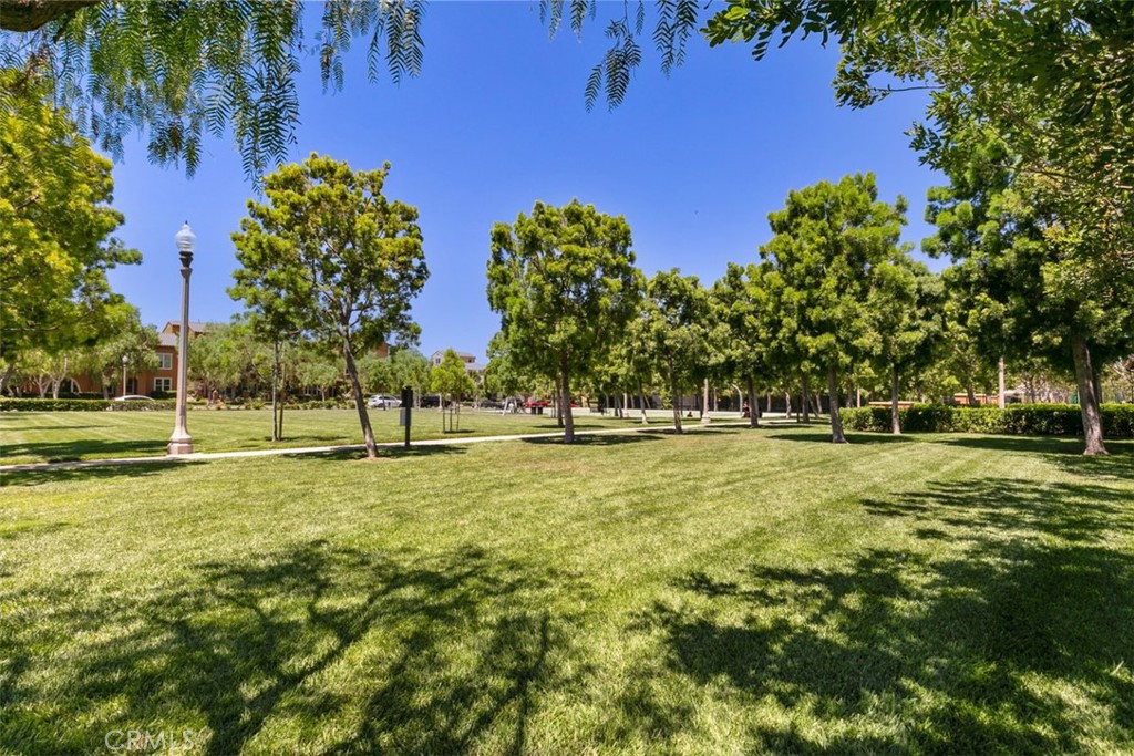 116 Windswept Irvine, CA 92618 - Photo 58 of 74 a view of yard with swimming pool and trees