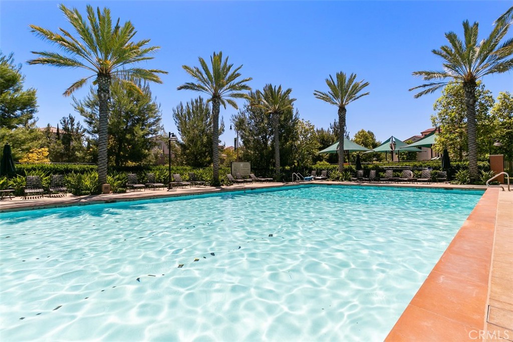116 Windswept Irvine, CA 92618 - Photo 62 of 74 a palm tree sitting in front of a house with a big yard