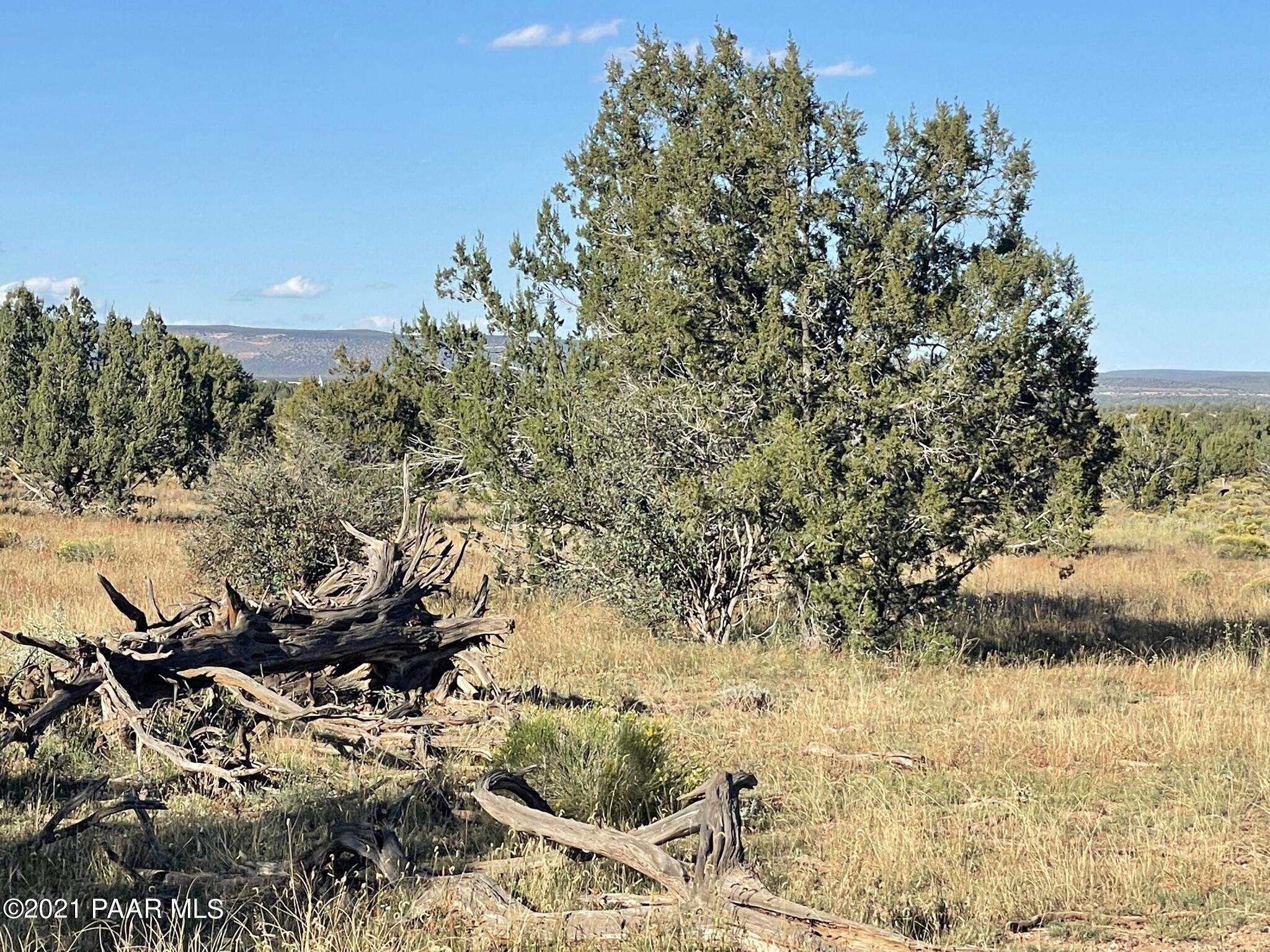 73 B Java Road Ash Fork, AZ 86320 - Photo 11 of 18 IMG_8175