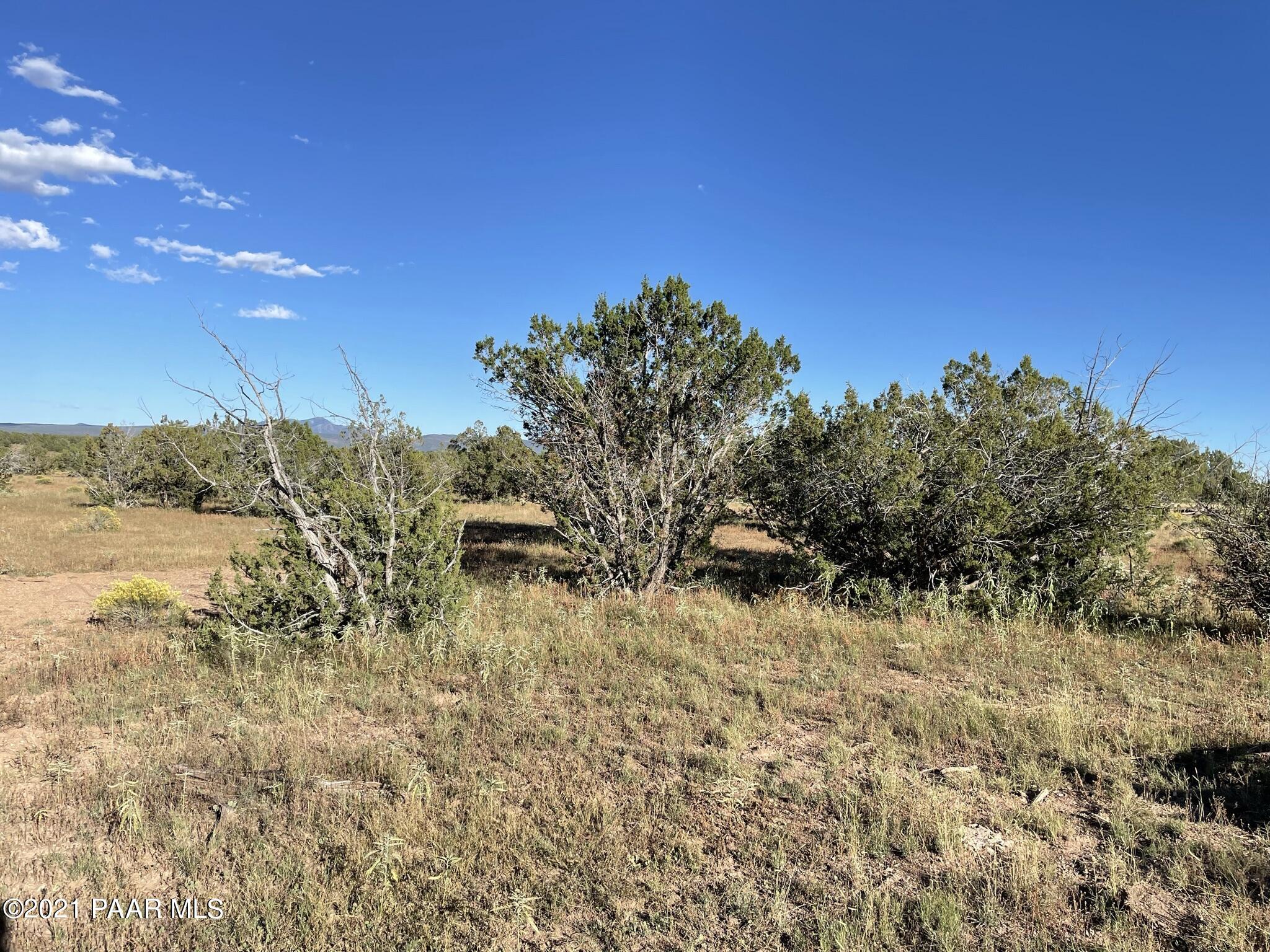 73 B Java Road Ash Fork, AZ 86320 - Photo 12 of 18 IMG_8178