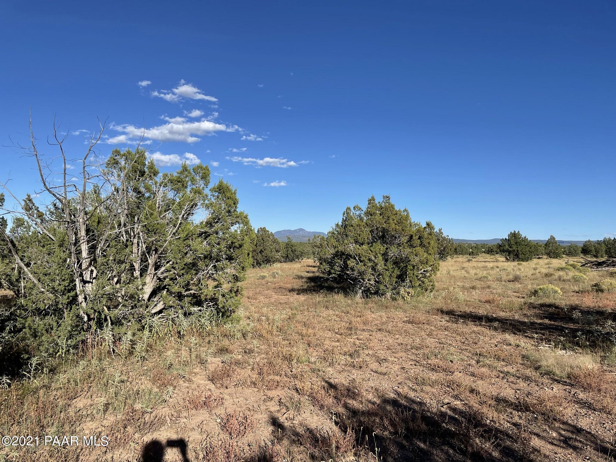 73 B Java Road Ash Fork, AZ 86320 - Photo 13 of 18 IMG_8180