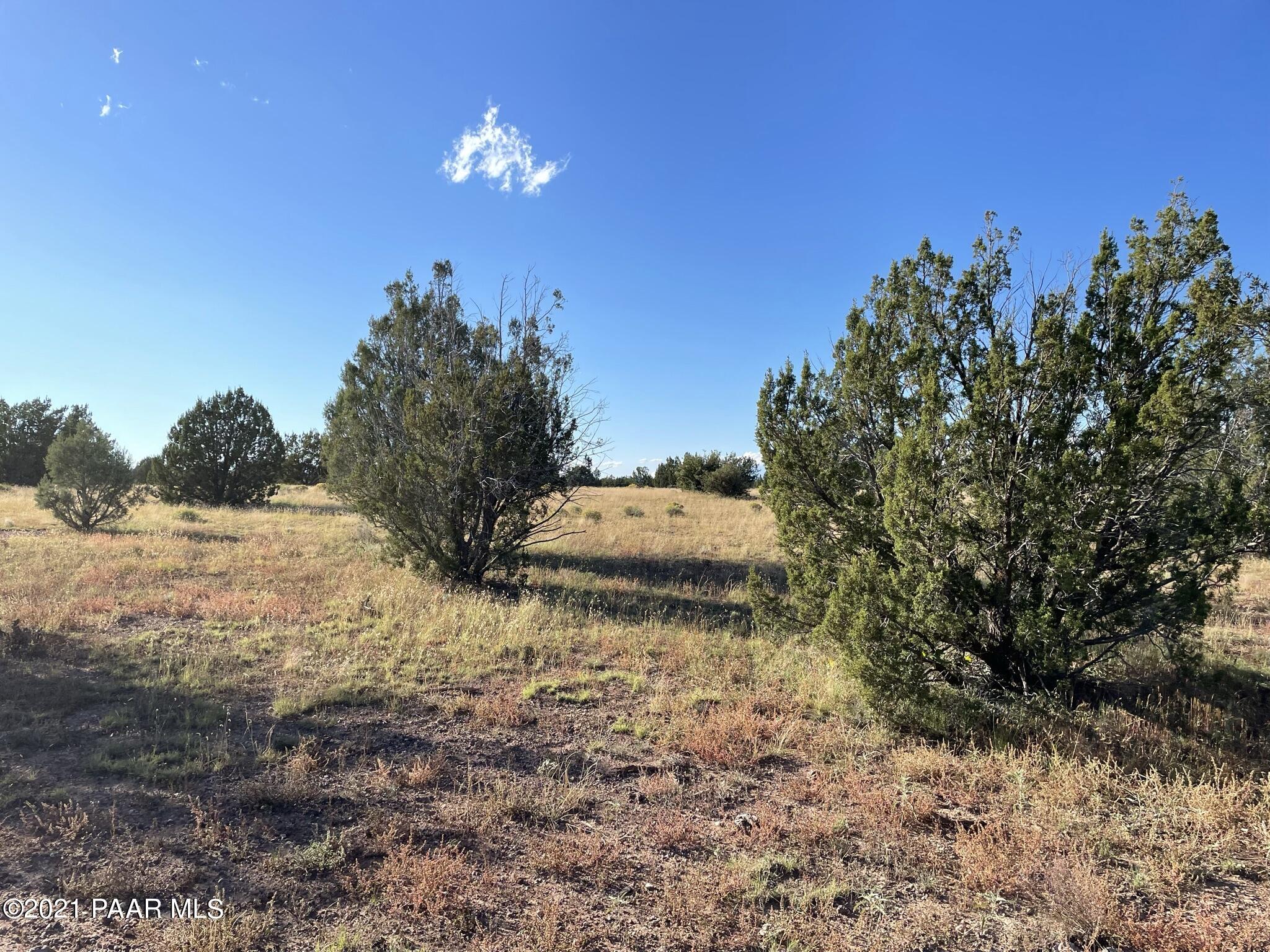 73 B Java Road Ash Fork, AZ 86320 - Photo 14 of 18 IMG_8185