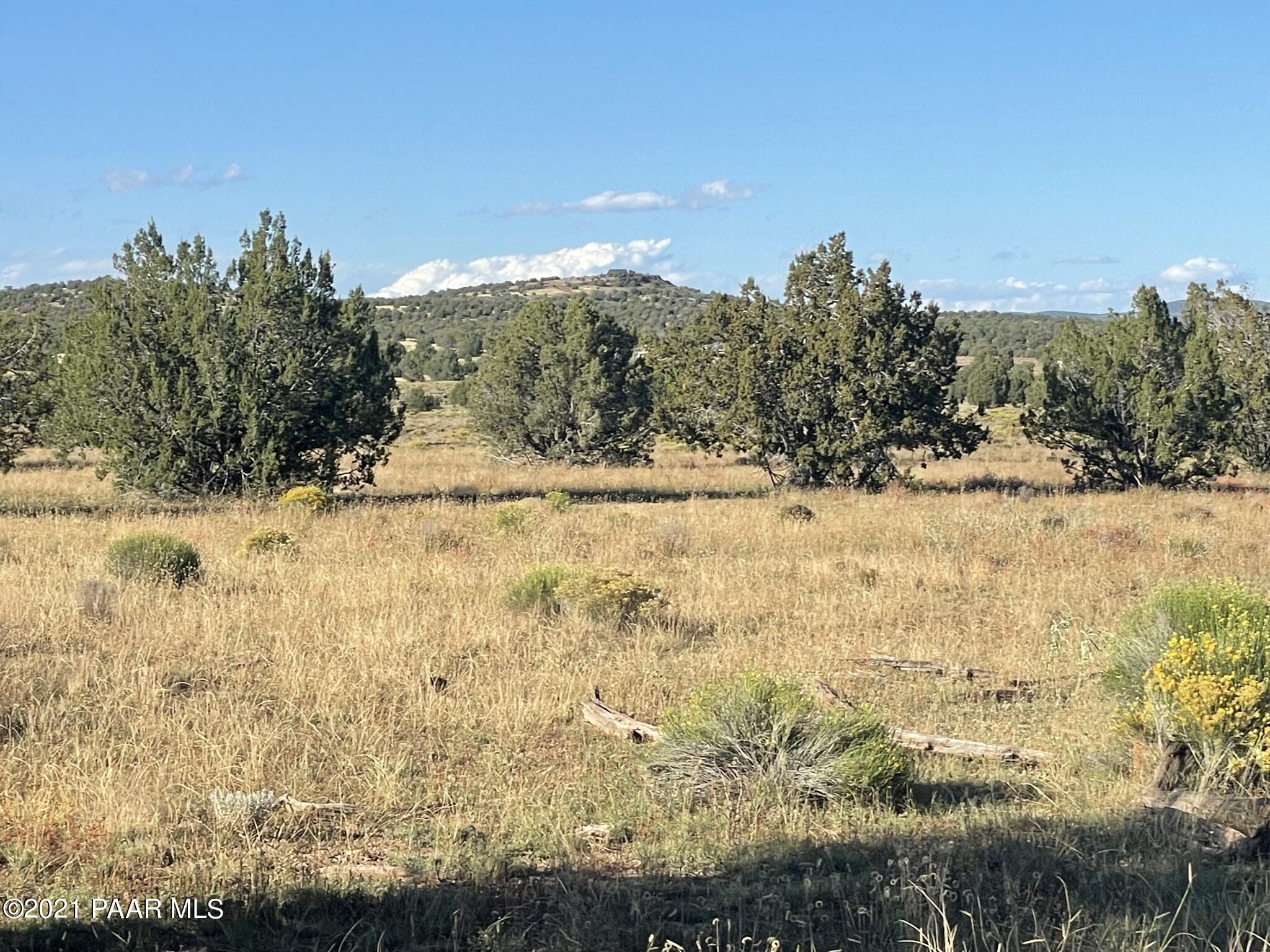 73 B Java Road Ash Fork, AZ 86320 - Photo 10 of 18 IMG_8174