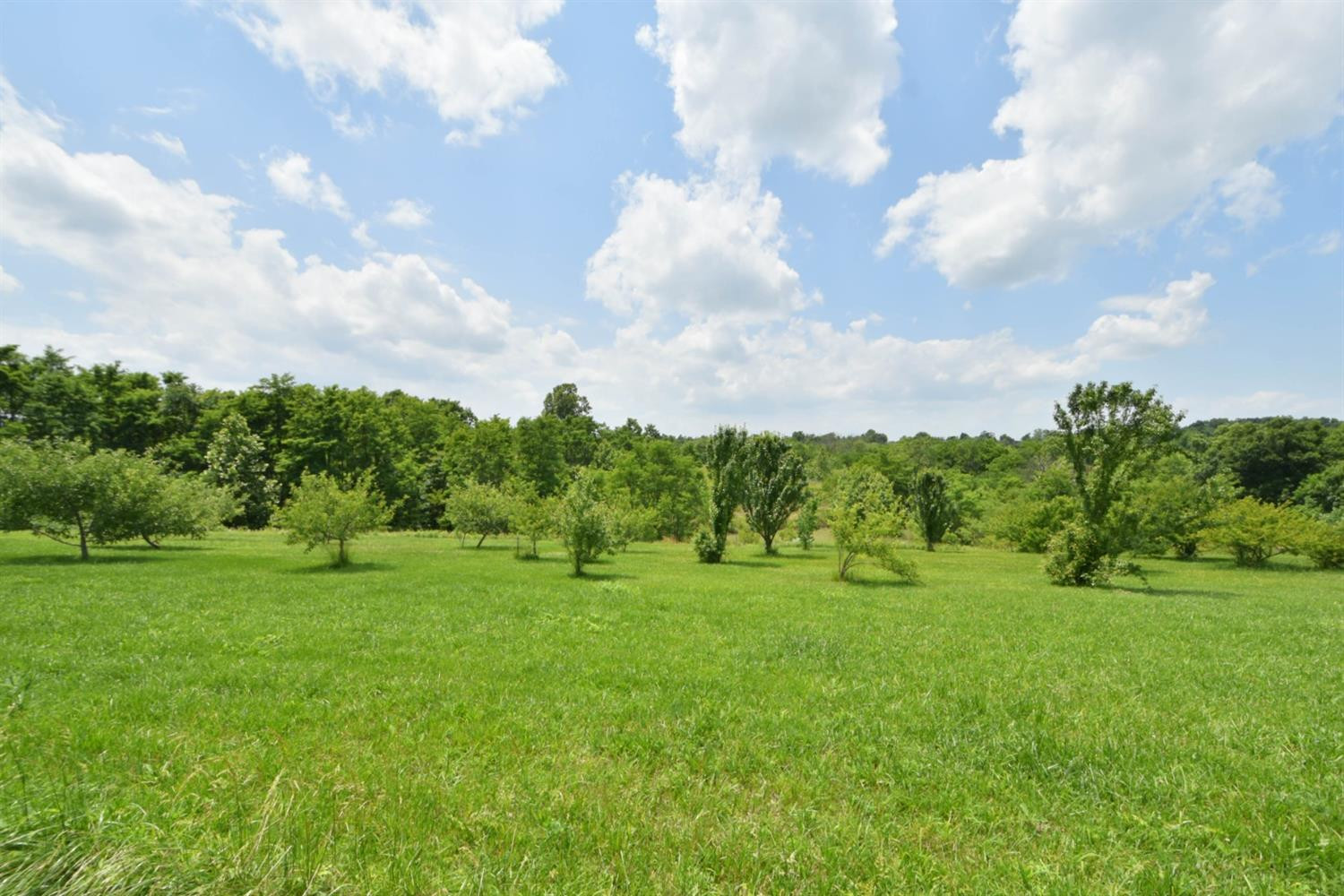 239 Tankersley Road Paint Lick, KY 40461 - Photo 79 of 81 Listing Photo