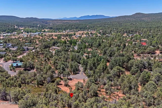 a view of a dry yard with lots of bushes