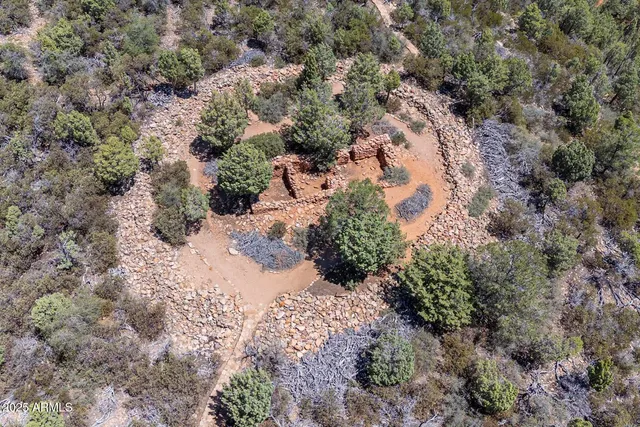 a view of a forest with trees