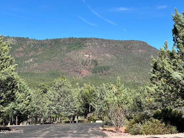 a view of a dry yard covered with snow