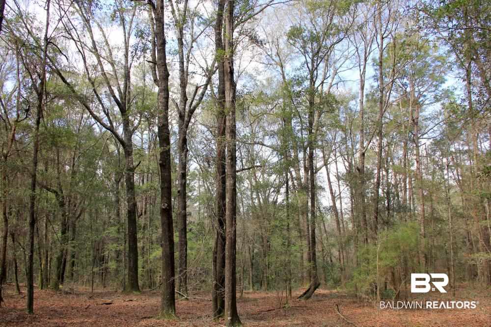 0 County Road 49 Loxley, AL 36551 - Photo 15 of 33