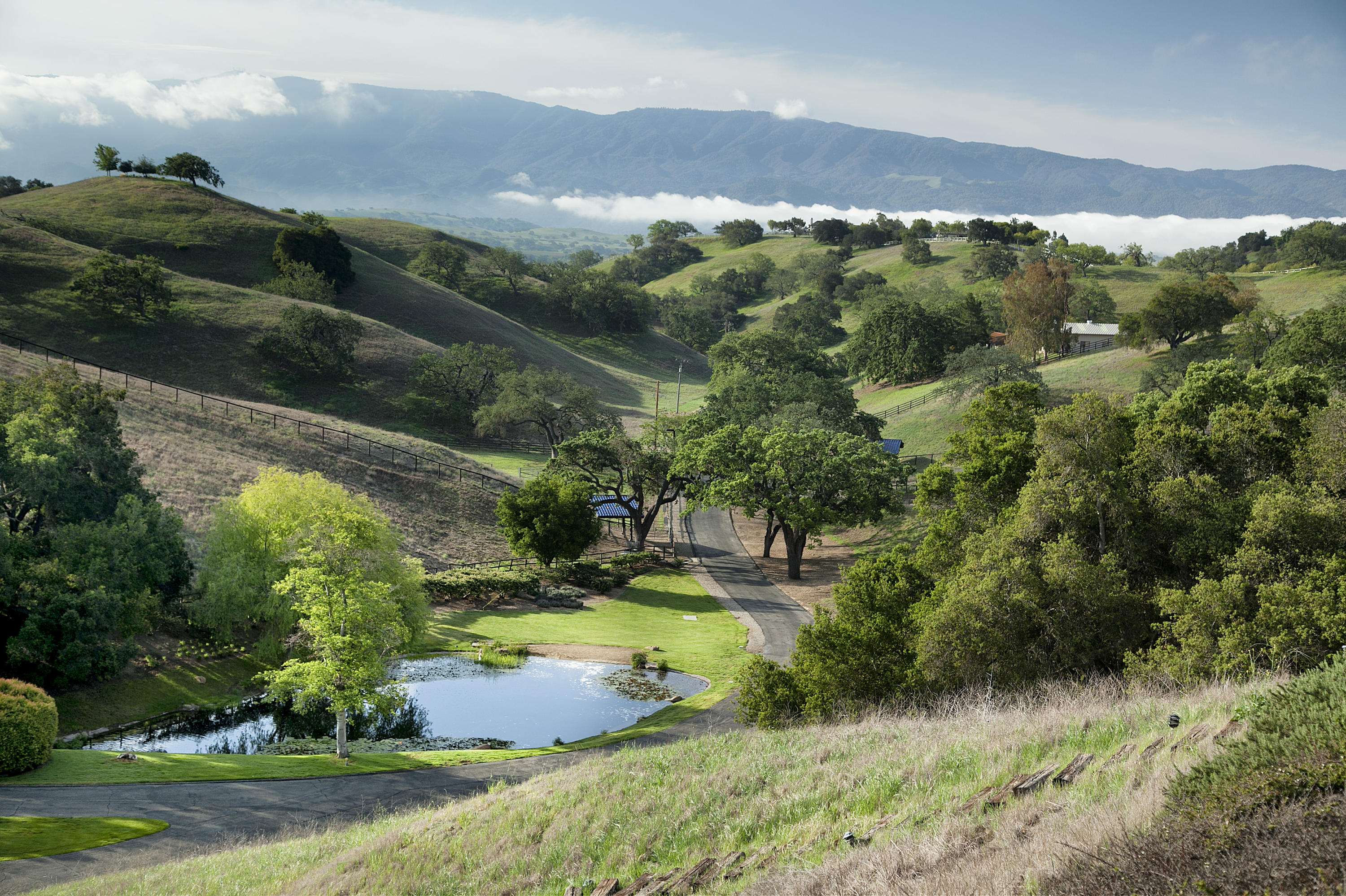 2905 Roundup Road Santa Ynez, CA 93460 - Photo 2 of 34 an aerial view of green landscape with trees houses and mountain view