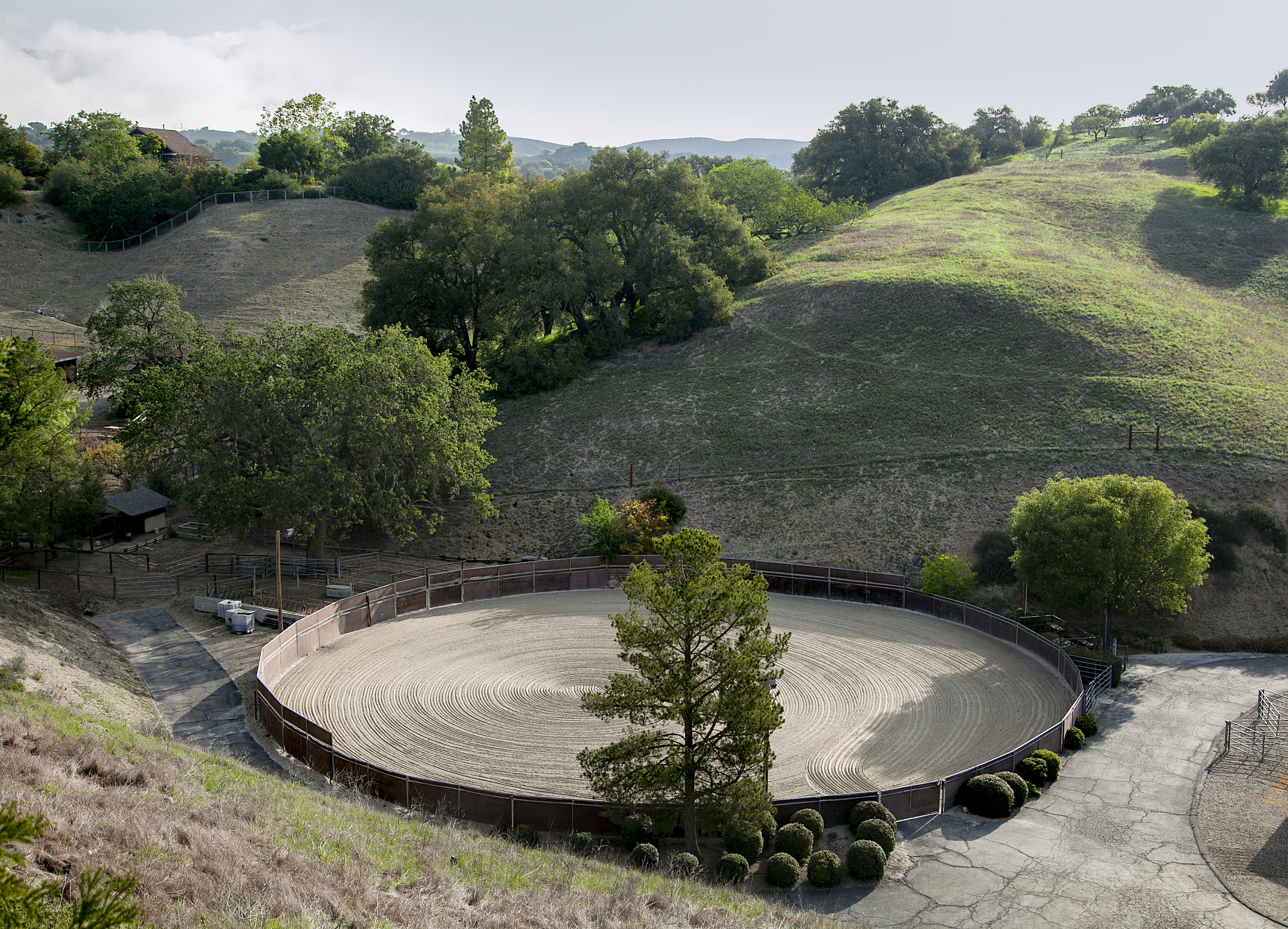 2905 Roundup Road Santa Ynez, CA 93460 - Photo 3 of 34 a view of a swimming pool with a yard