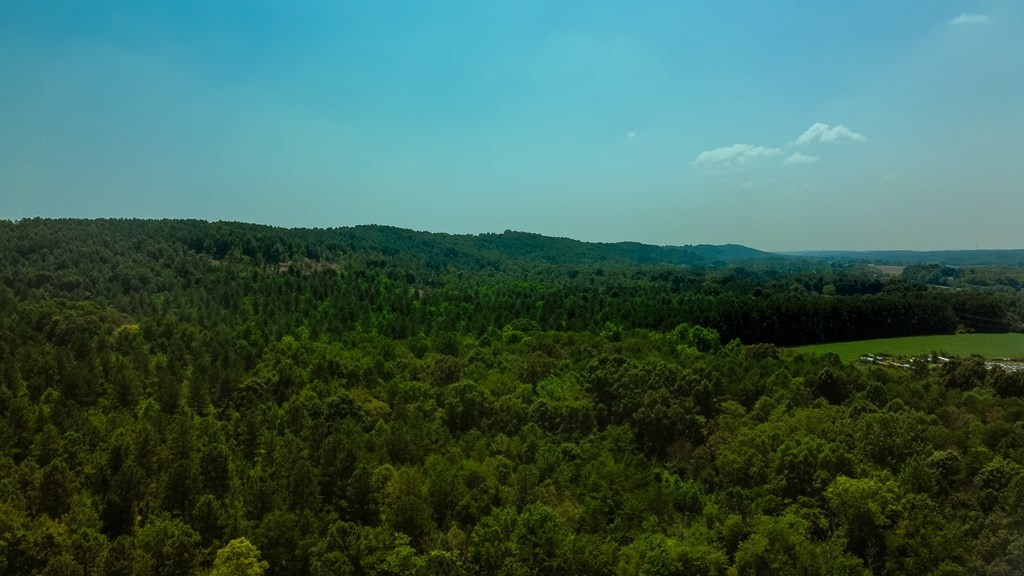 351 County Road Sweetwater, TN 37874 - Photo 4 of 14