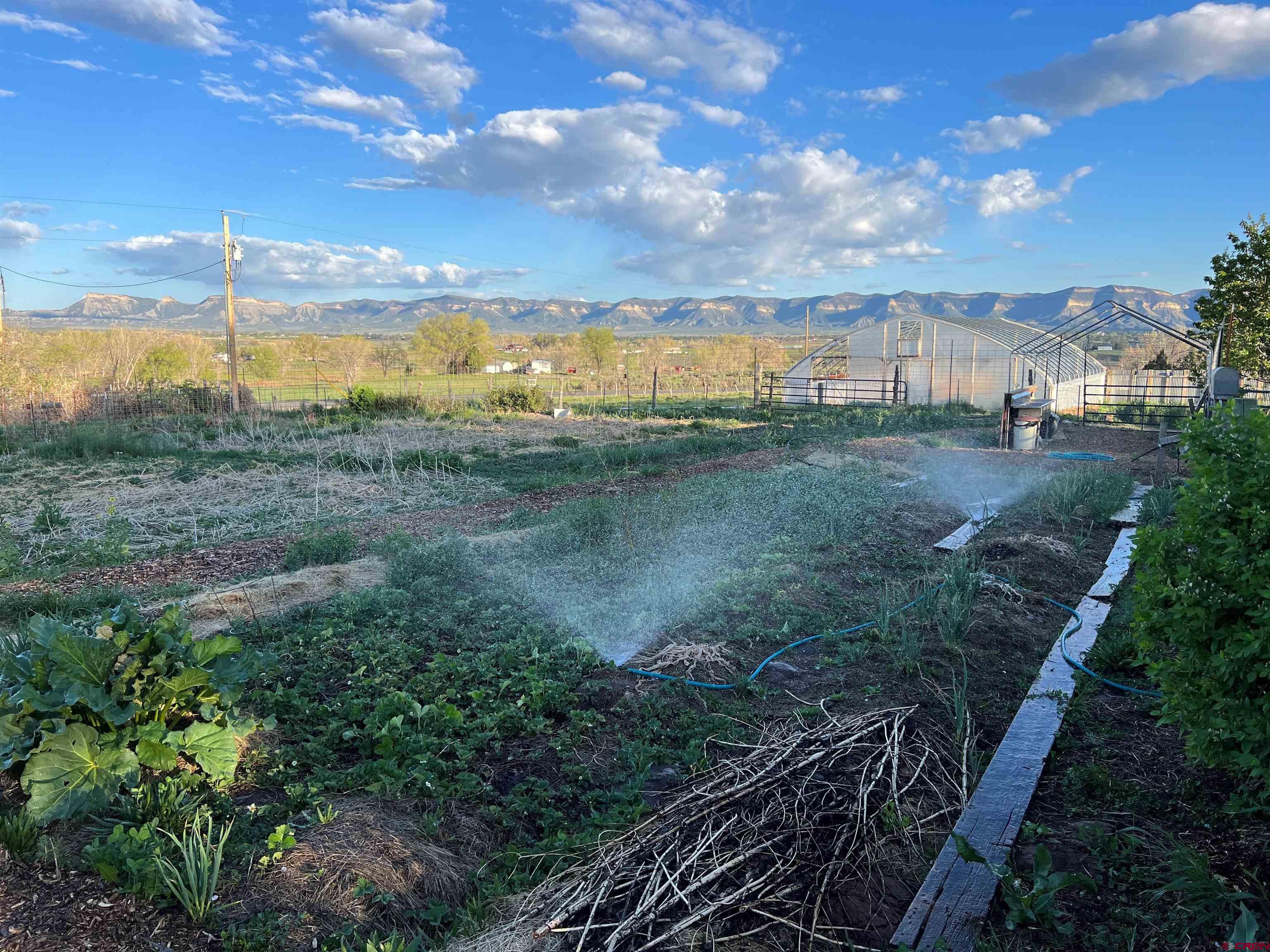 12363 Road 25 Cortez, CO 81321 - Photo 25 of 26 a view of an ocean & house