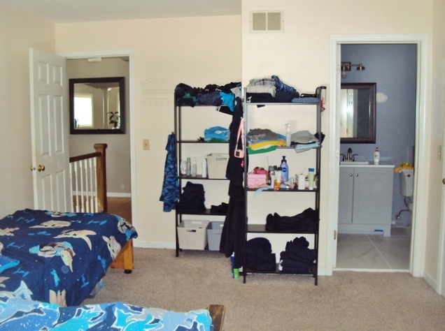 424 Van Gogh Circle Bolingbrook, IL 60440 - Photo 11 of 17