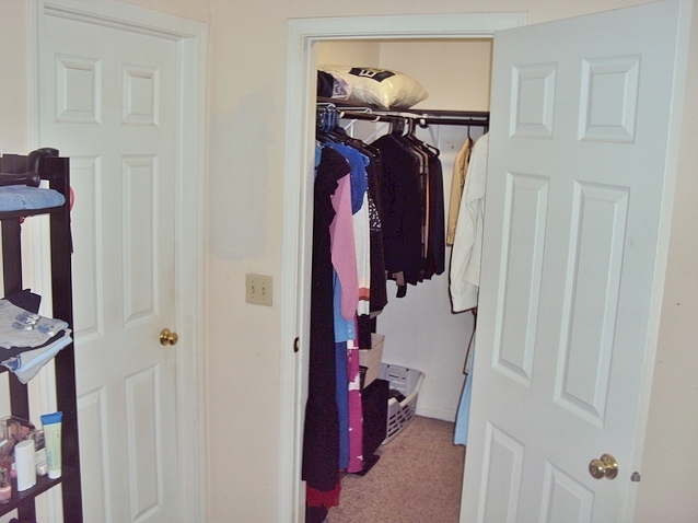 424 Van Gogh Circle Bolingbrook, IL 60440 - Photo 12 of 17