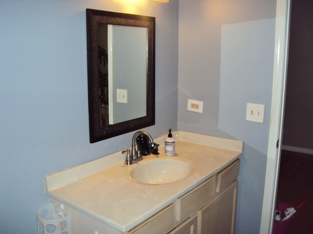 424 Van Gogh Circle Bolingbrook, IL 60440 - Photo 14 of 17