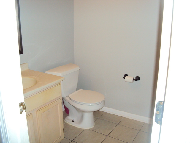 424 Van Gogh Circle Bolingbrook, IL 60440 - Photo 9 of 17