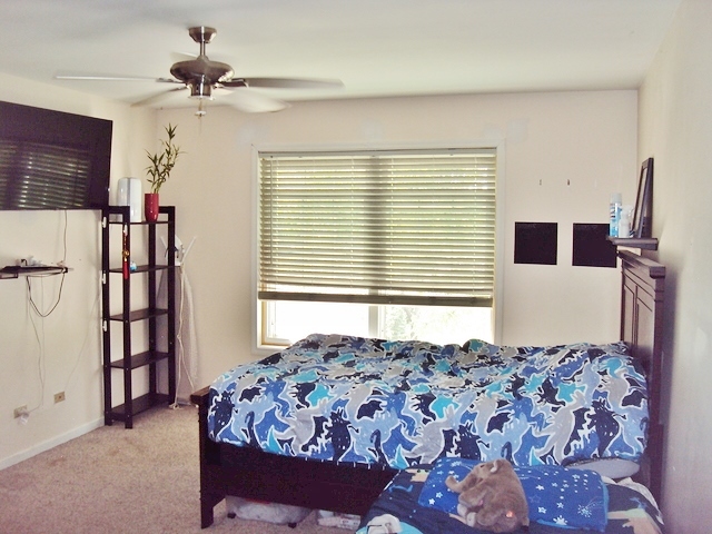 424 Van Gogh Circle Bolingbrook, IL 60440 - Photo 10 of 17