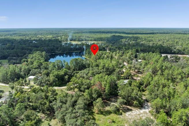 Pine Valley Drive Paisley, FL 32767 - Photo 2 of 6