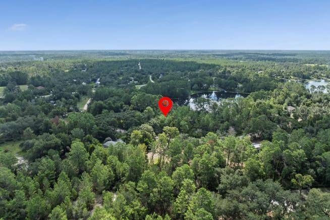 Pine Valley Drive Paisley, FL 32767 - Photo 3 of 6