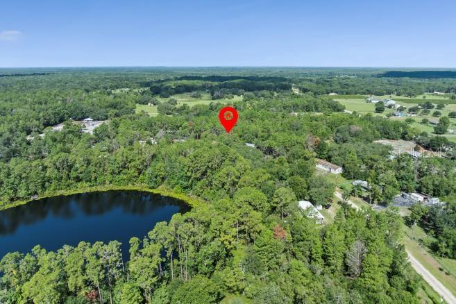 Pine Valley Drive Paisley, FL 32767 - Photo 6 of 6