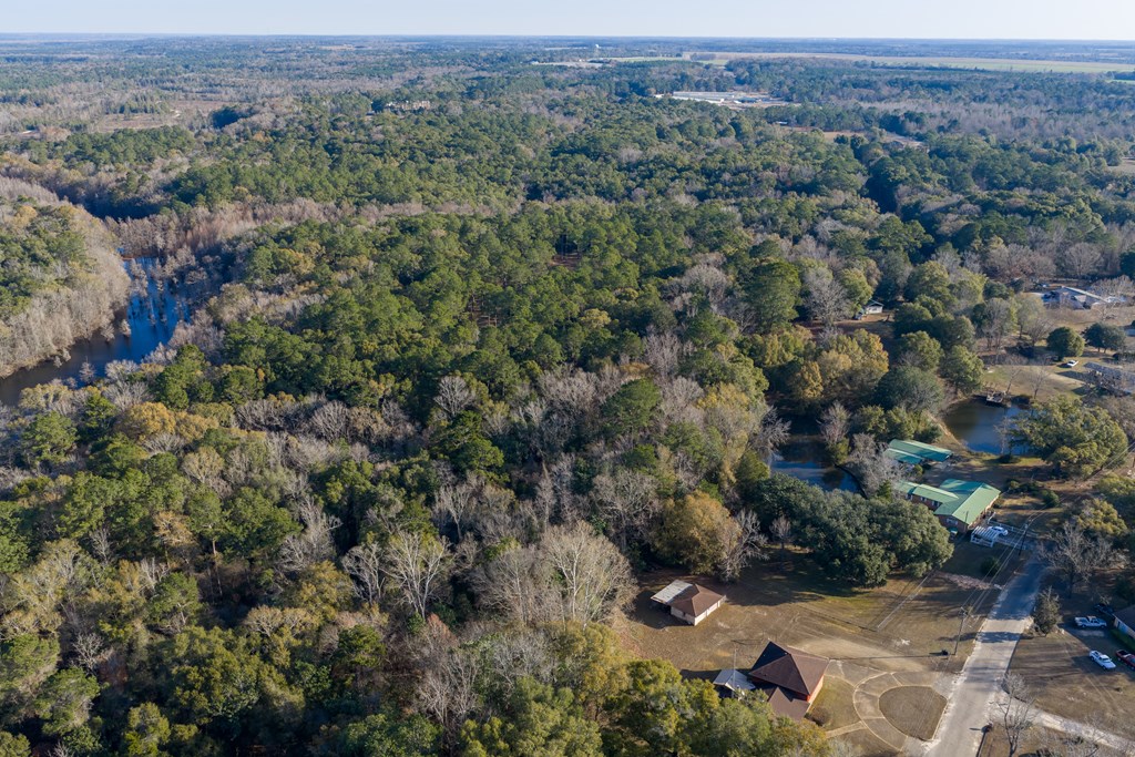 347 North Martin Street Geneva, AL 36340 - Photo 40 of 42