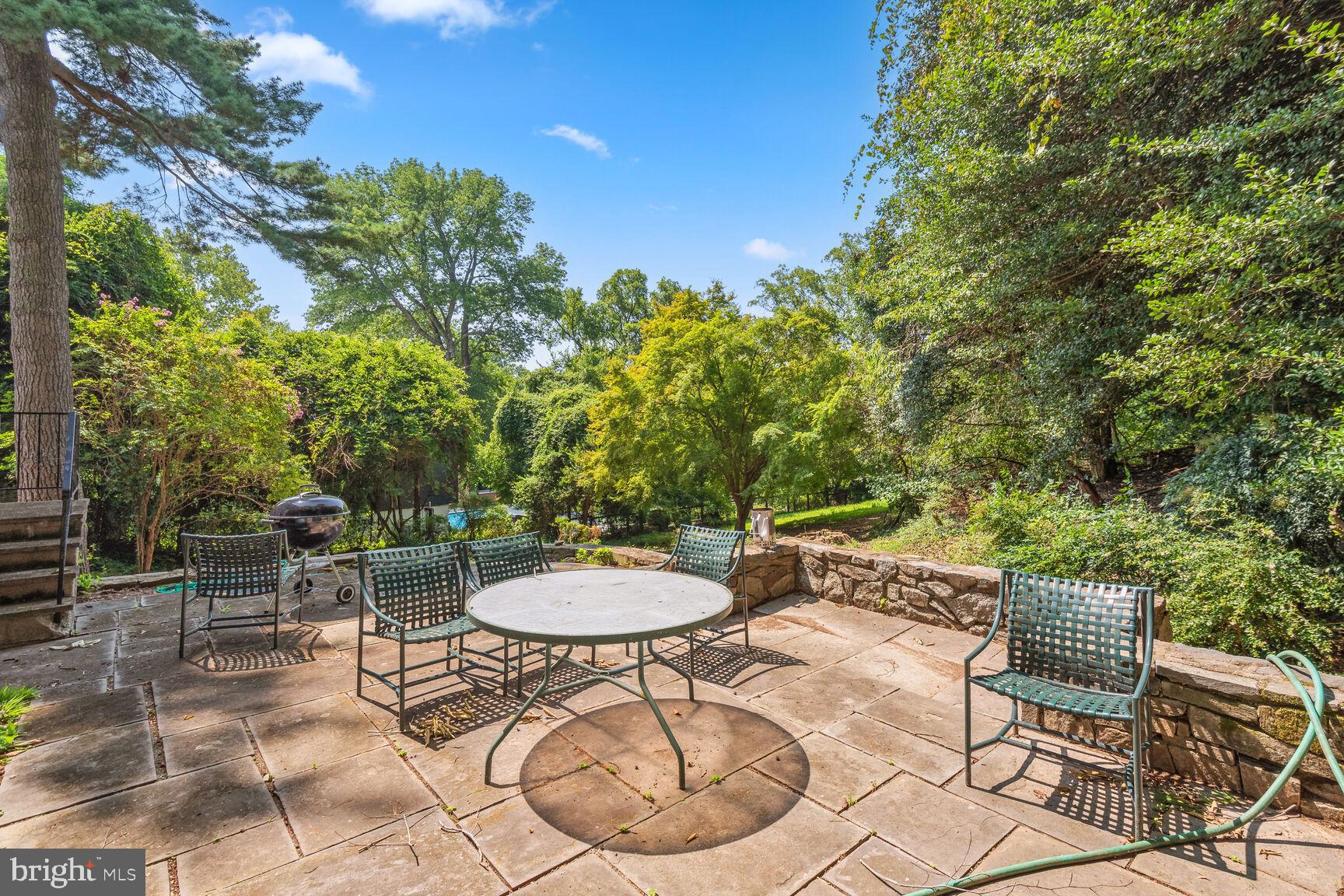 2930 Chain Bridge Road Northwest Washington, DC 20016 - Photo 26 of 32 rear patio