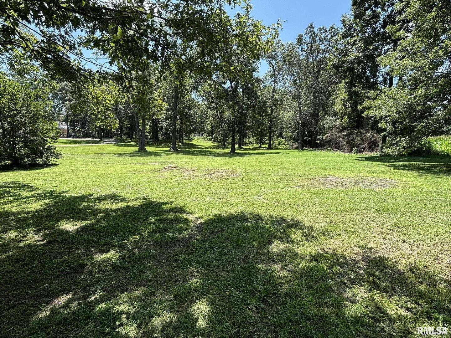 145 Hickory Grove Lane Salem, IL 62881 - Photo 20 of 20 a view of a trees in a yard