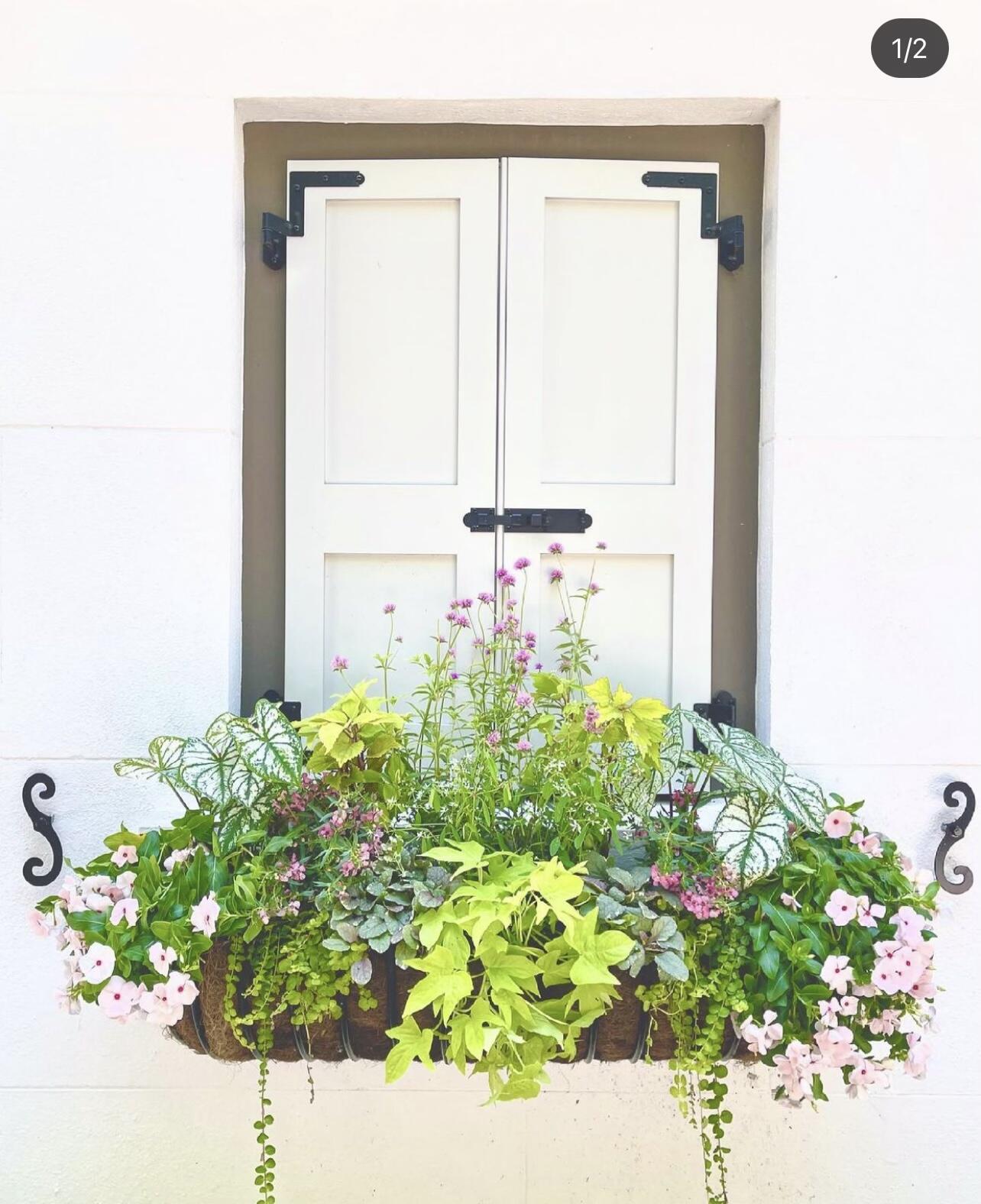 151 Queen Street Charleston, SC 29401 - Photo 48 of 50 4CC2A0F5-B366-4476-892F-4A2852A26175