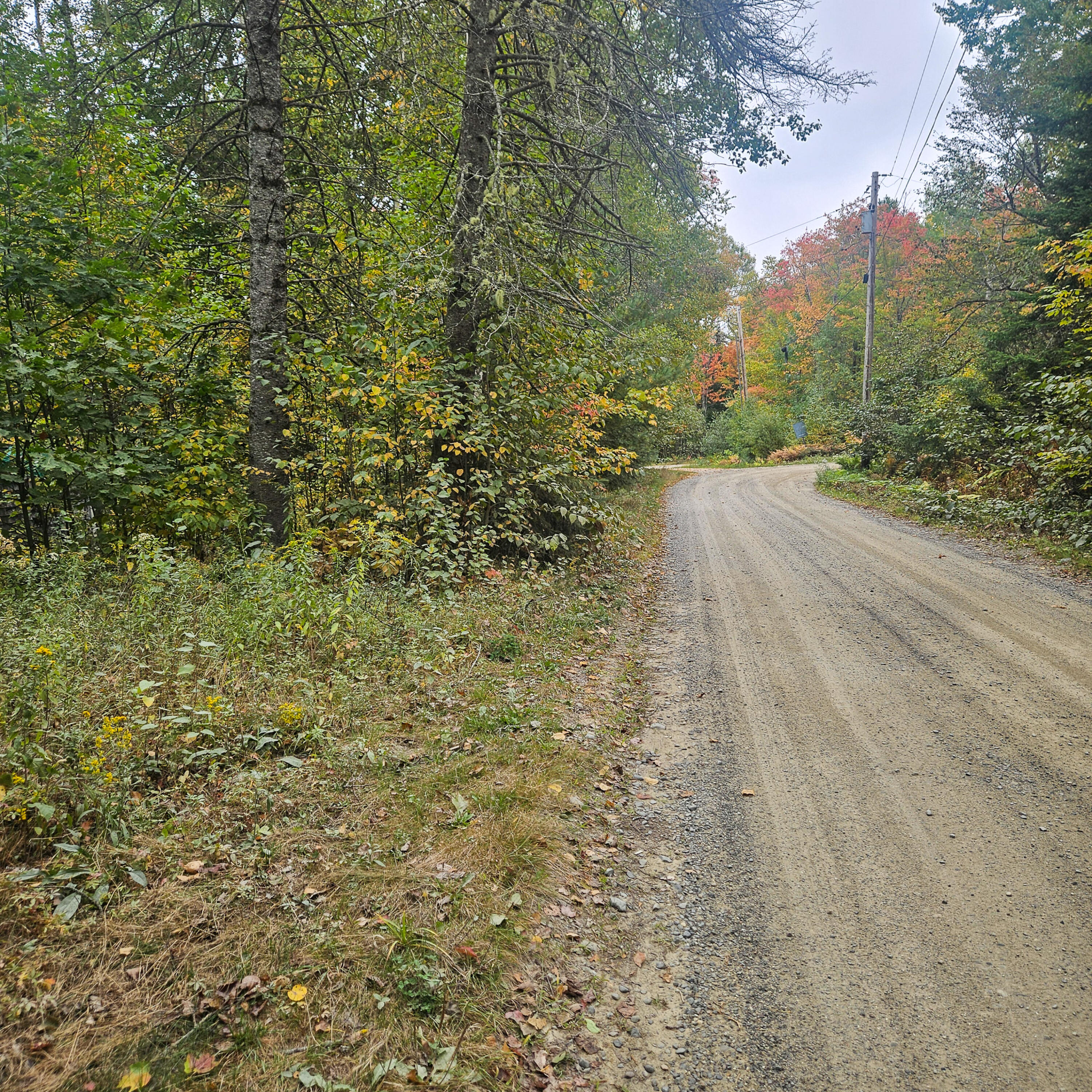 206 Morrison Farm Road Mariaville, ME 04605 - Photo 2 of 28 20250924_103909