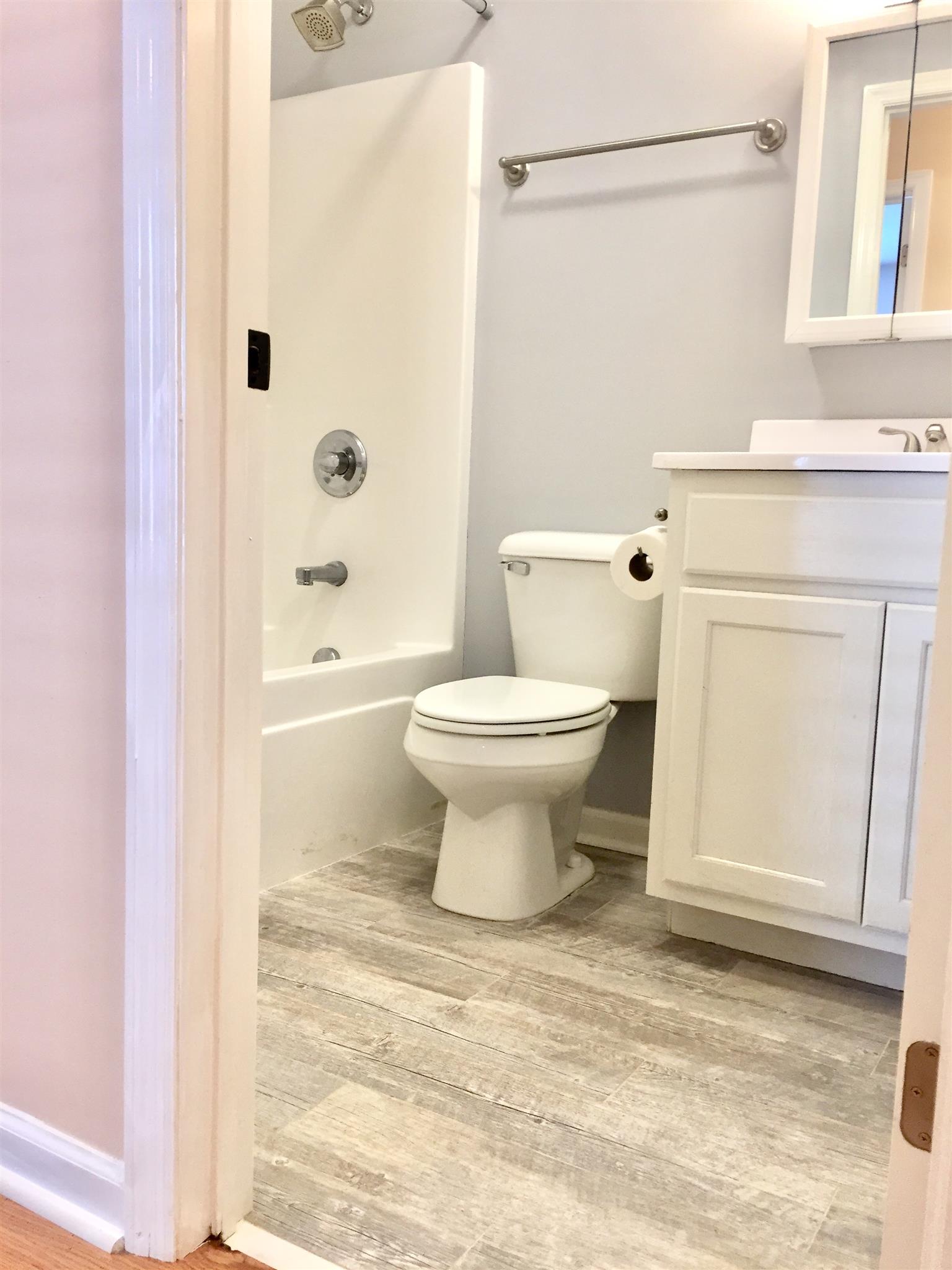 1615 Clay Street Springfield, TN 37172 - Photo 17 of 20 Sweet bathroom with modern fixtures & flooring!