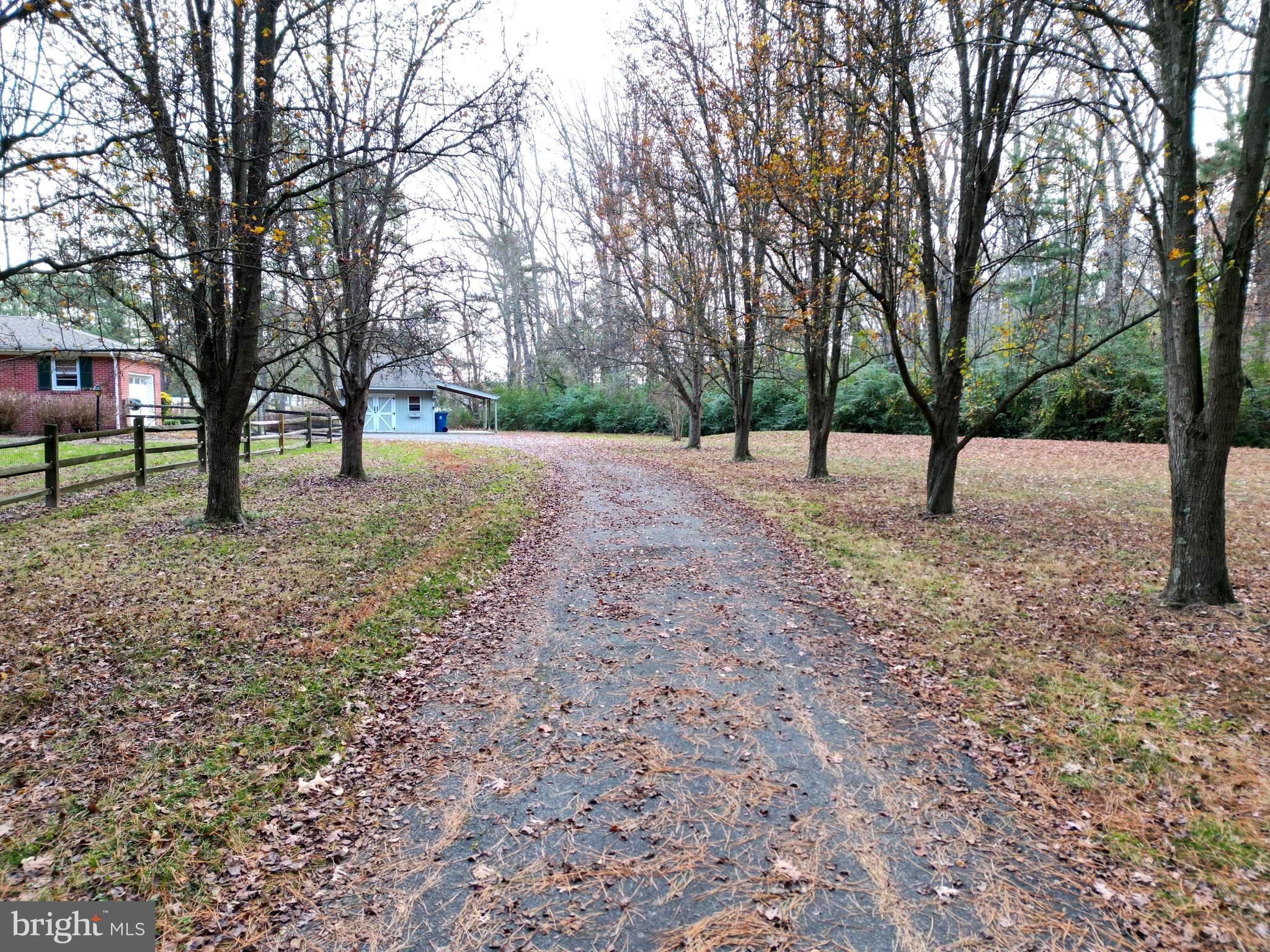 7361 Solitude Road St. Michaels, MD 21663 - Photo 22 of 23 a view of outdoor space with tree s