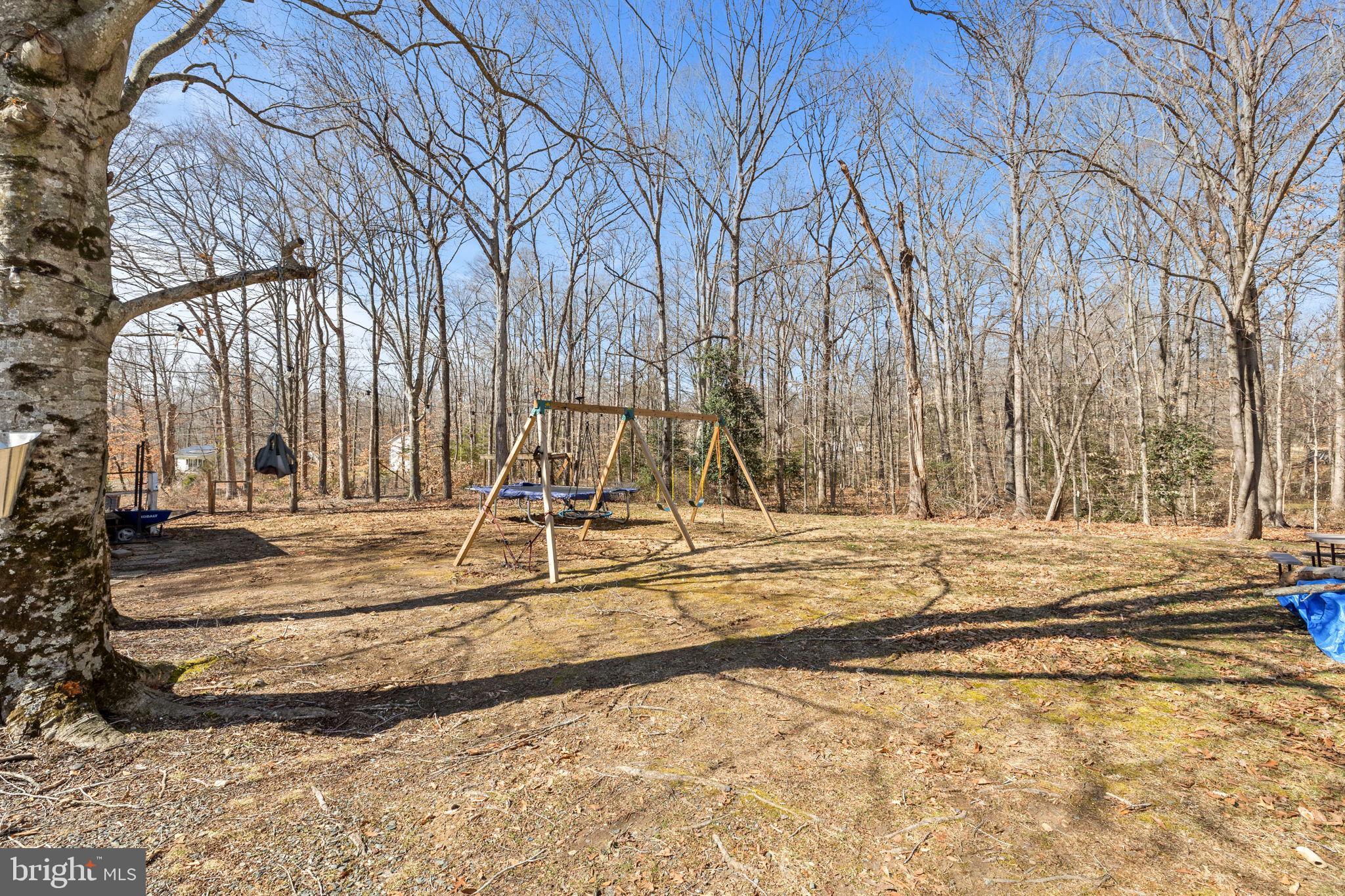 24 Ruby Drive Stafford, VA 22556 - Photo 42 of 52 Backyard