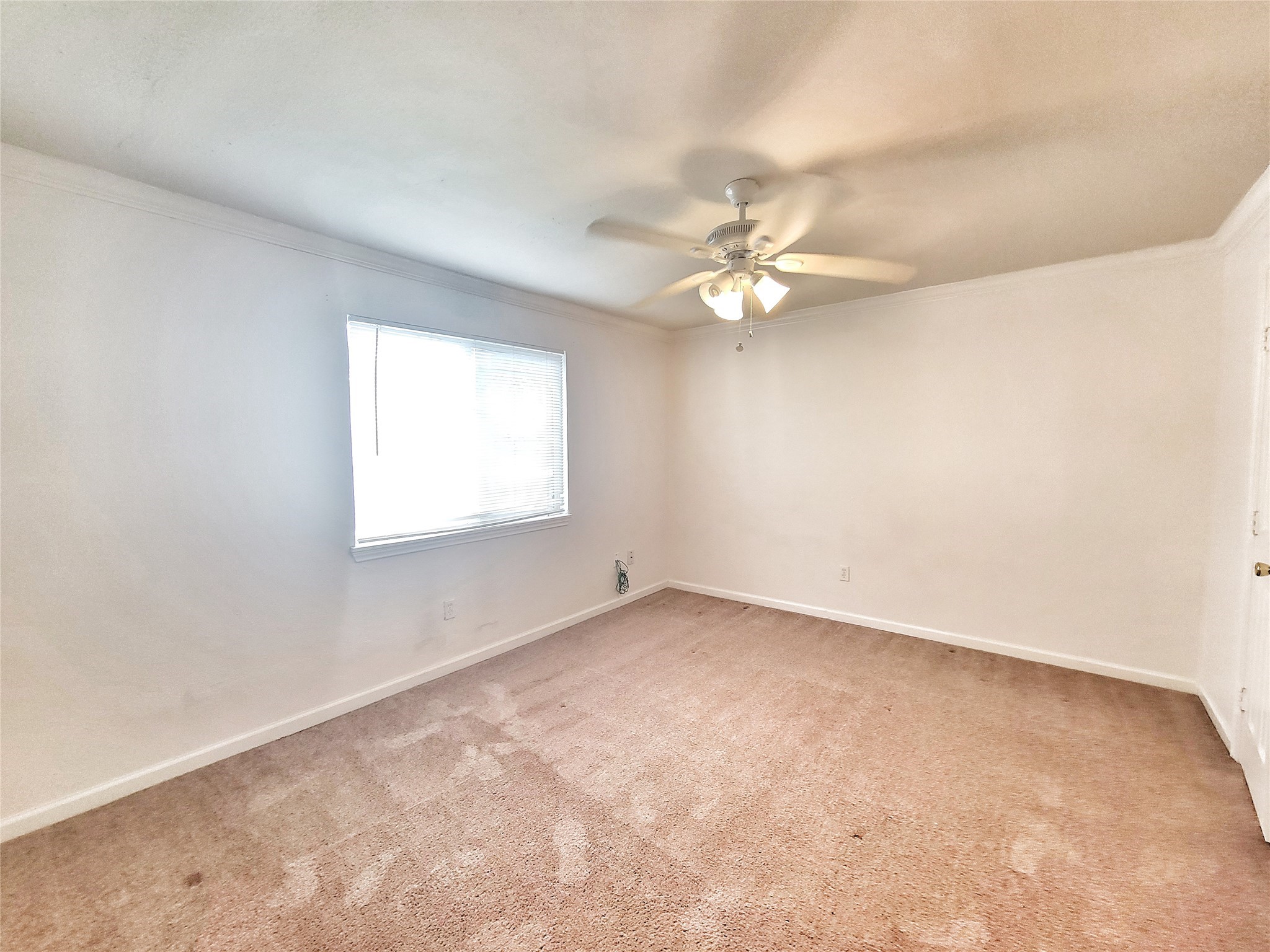 1522 Yale Street, Unit 18 Houston, TX 77008 - Photo 6 of 9