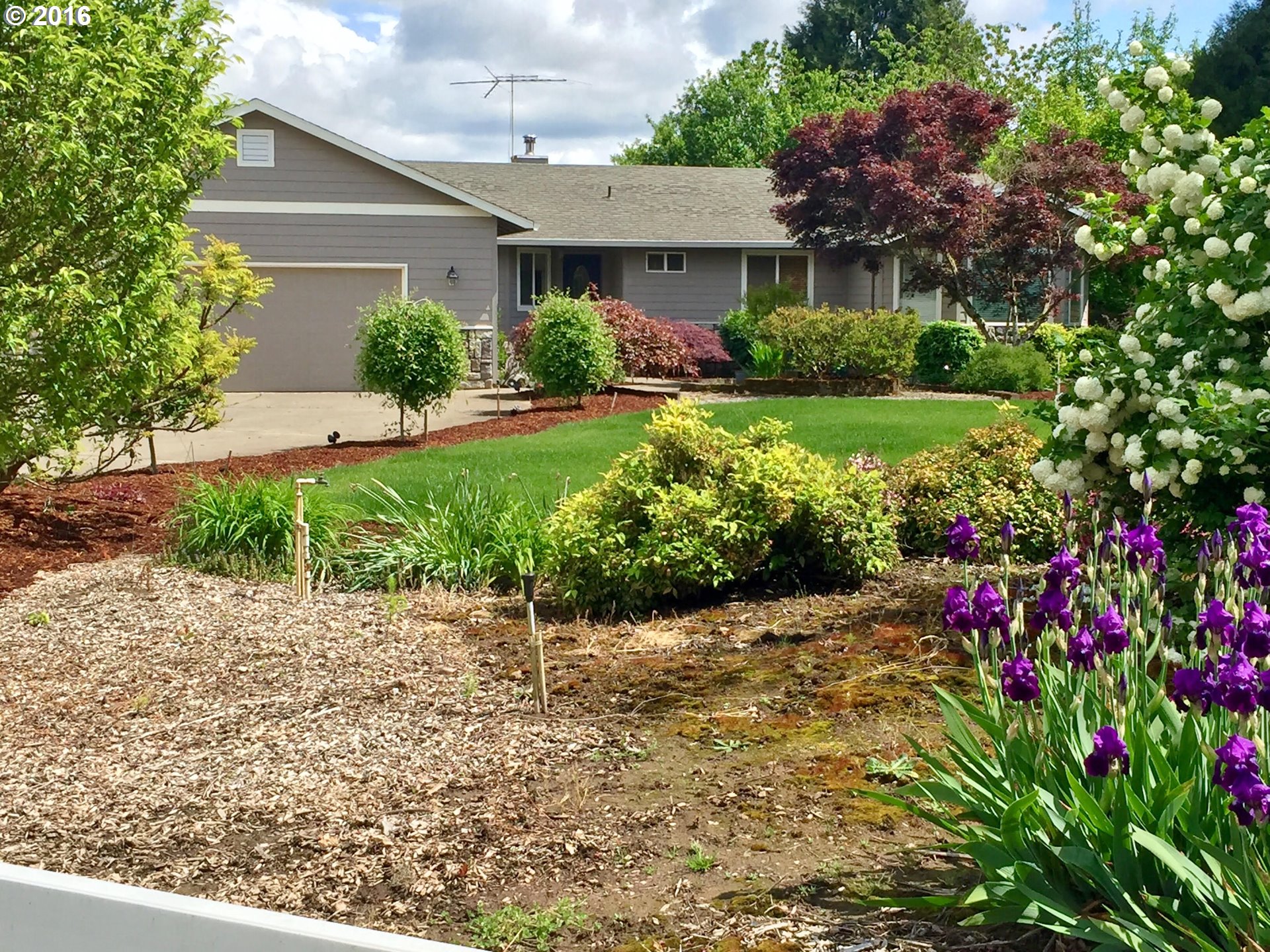 8380 Northeast Dog Ridge Road Newberg, OR 97132 - Photo 1 of 32 a view of a garden with plants and a bench