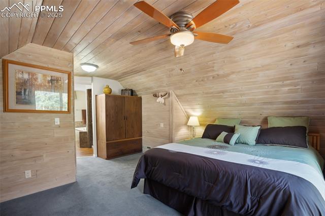 4615 Mesa Road Cascade, CO 80809 - Photo 21 of 50 Gallery Image 21