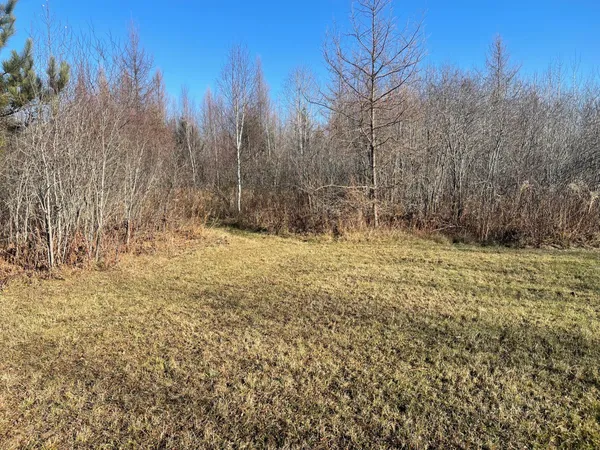 $135,000 | 13994 County Road 425, Floodwood, MN 55736