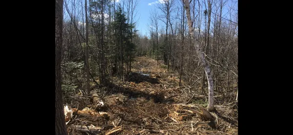 $135,000 | 13994 County Road 425, Floodwood, MN 55736