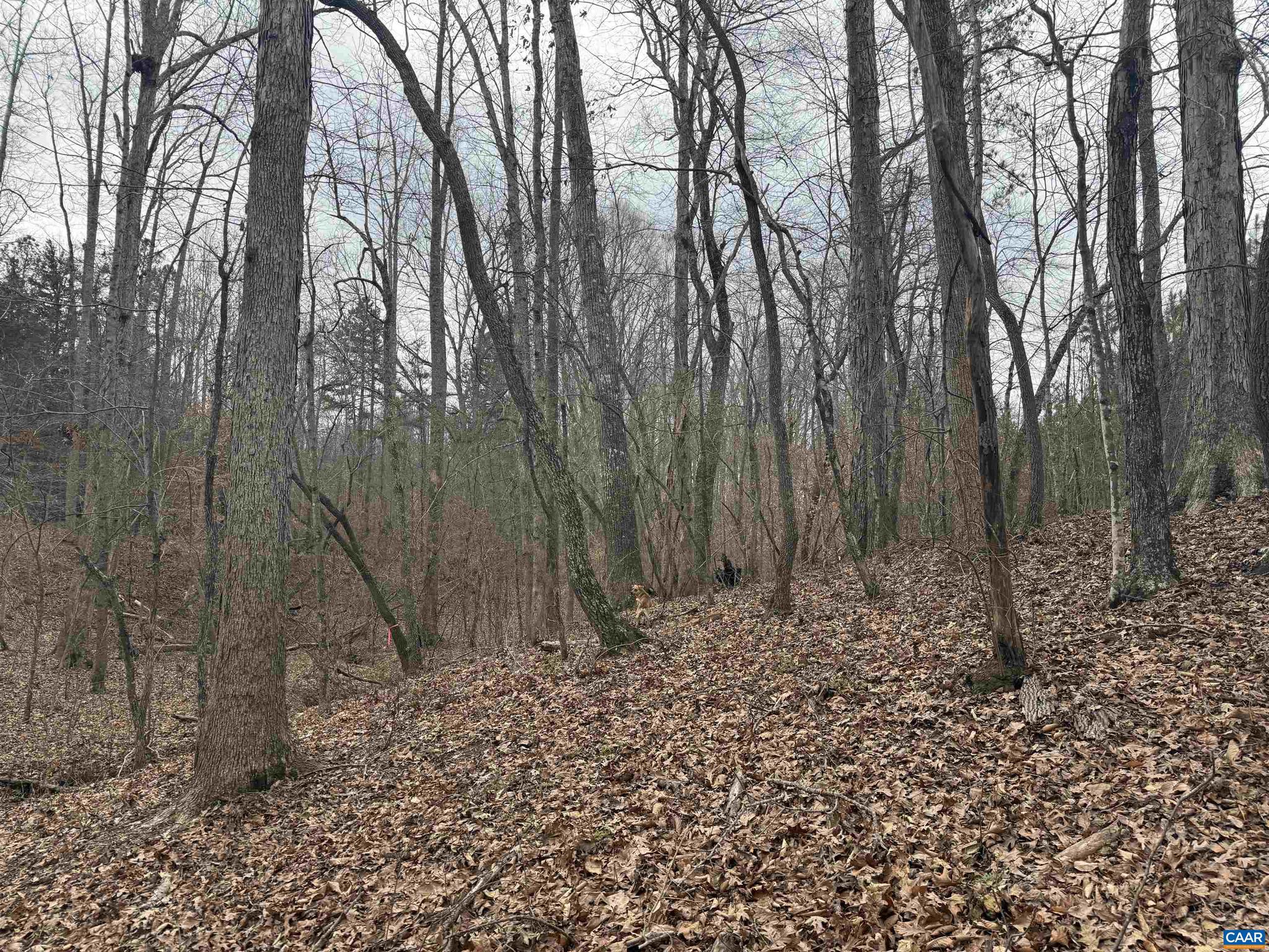 2 Hardware Road Arvonia, VA 23004 - Photo 15 of 17 Gallery Image 15