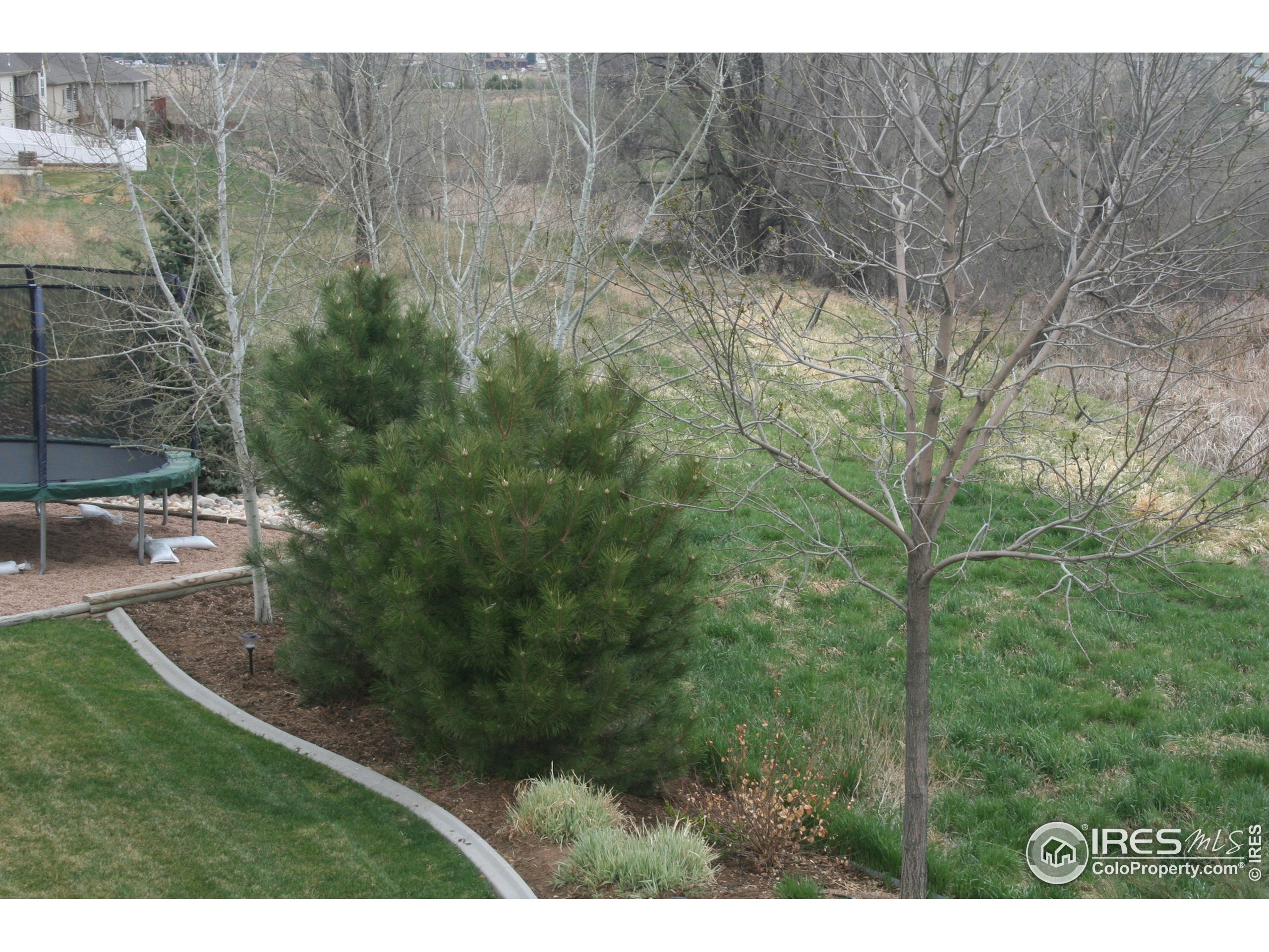 7802 West 19th St Road Greeley, CO 80634 - Photo 13 of 15 Gallery Image 13