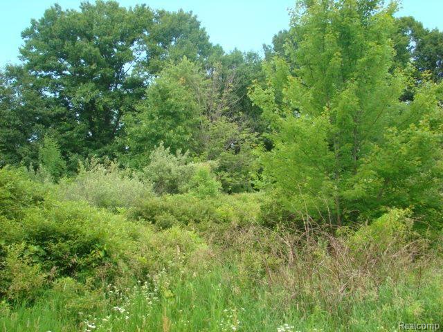 4214 Stanley Road Columbiaville, MI 48421 - Photo 43 of 46 beautiful_property_walking_paths_throughout.jpg