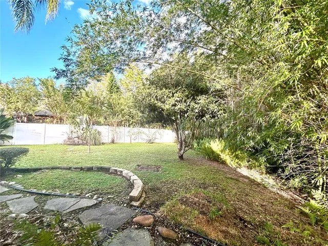 a view of a yard with a tree