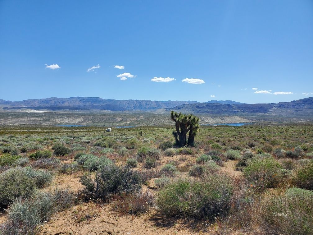 6437 Lake Village Road Olancha, CA 93549 - Photo 4 of 7 a view of a large field with lots of bushes