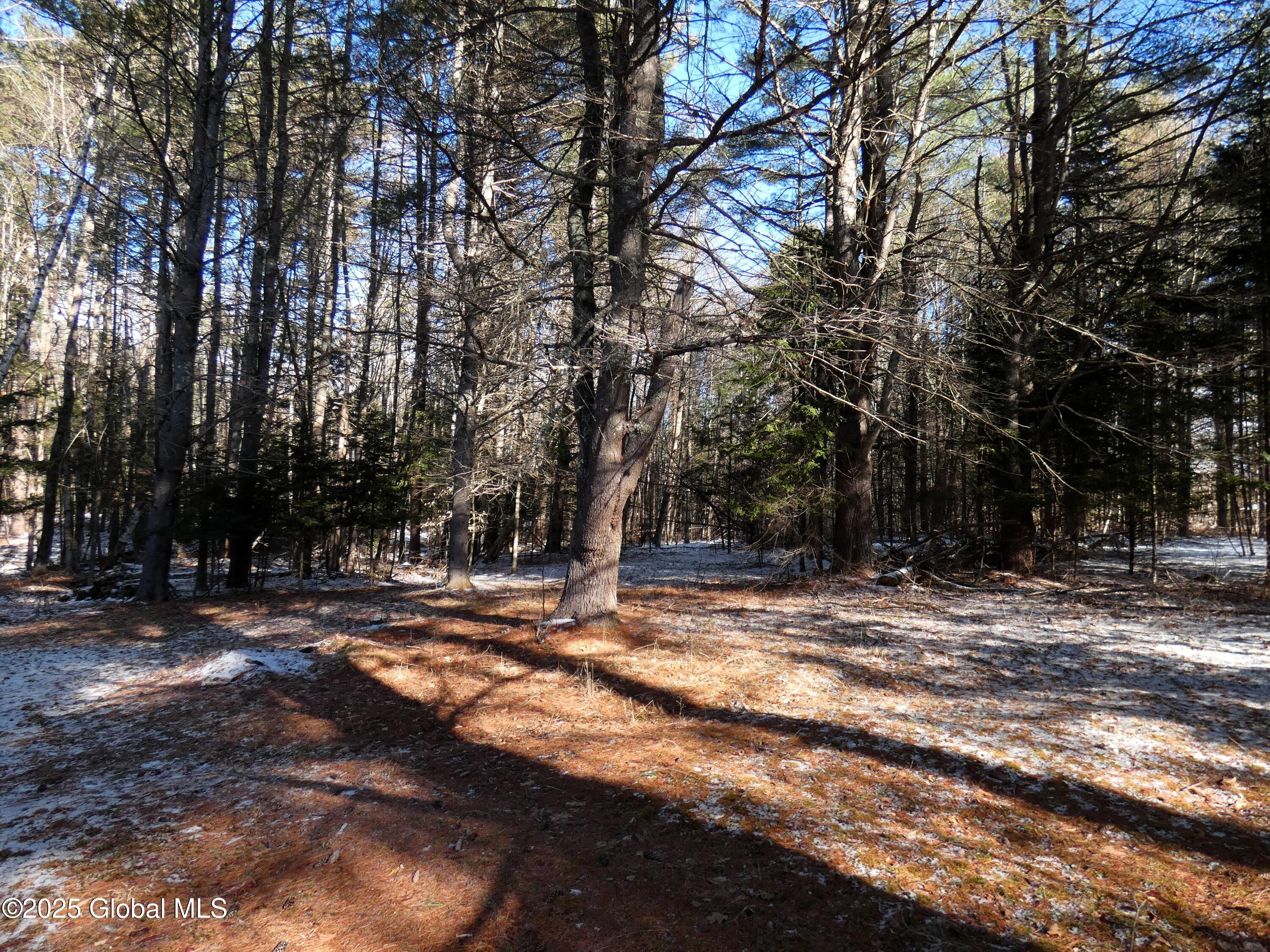 24 William J Baker Road Johnsburg, NY 12885 - Photo 29 of 29 P1020789