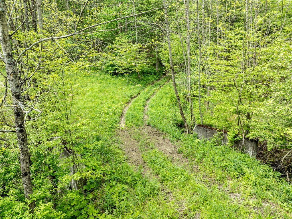 24 County Road New Berlin, NY 13411 - Photo 6 of 19