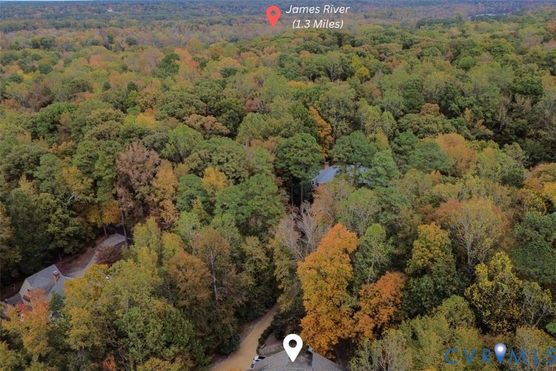 3820 Reeds Landing Circle Midlothian, VA 23113 - Photo 24 of 25 a view of a forest with a street