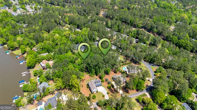 a view of a plant in a garden