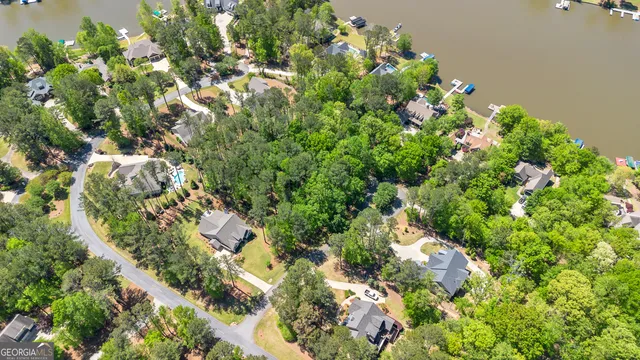 a view of flowers in bunch