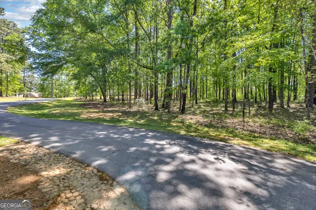 a view of outdoor space with trees all around