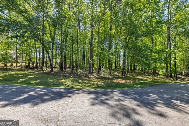 a view of a yard with plants and trees